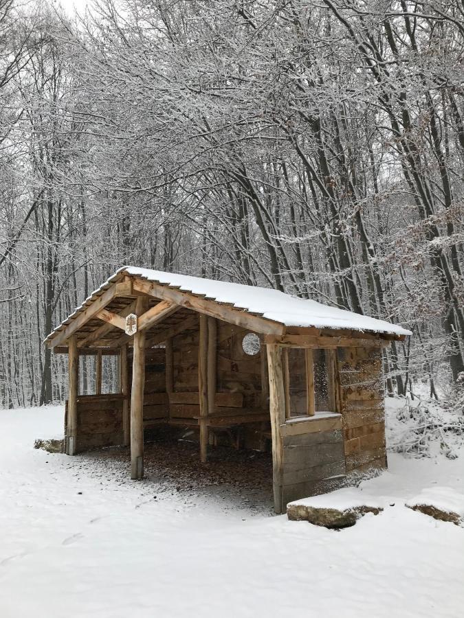 Ferienwohnung Morgensonne Am Kurpark Bad Berka - Parkplatz - Spielplatz - Wlan - 2 Schlafzimmer Εξωτερικό φωτογραφία